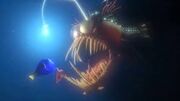 Anglerfish finding nemo.jpg