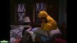 Big Bird and Gabi sleep in the living room