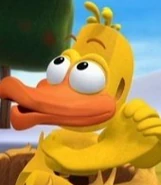 Duck