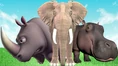 Hippopotamus Rhinoceros and Elephant.jpg (143 KB)