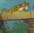 Leopard-jungle-book-2