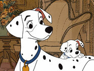 Pongo-Perdy-pongo-and-perdita-32065139-447-336