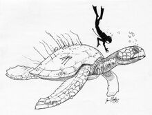 Atlantochelys-restoration.jpg