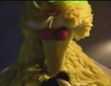 Big Bird sleeps in the hospital