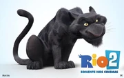 Black Jaguar