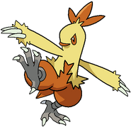 Combusken as Huey