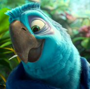 Eduardo (Rio 2)