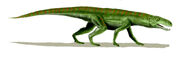 Gracilisuchus BW.jpg