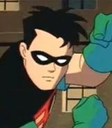 Robin-dick-grayson-batman-the-animated-series-27.1.jpg (9 KB) Ash was based on Tim Drake/Robin from The New Batman Adventures