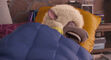 Sing-animationscreencaps.com-8780