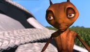 Antz-disneyscreencaps.com-5917