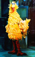 Bigbird1969