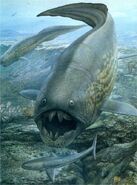 Dunkleosteus and cladoselache