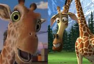 Melman the Giraffe and Bridget the Giraffe