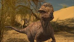 Paleo-world.jpg