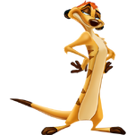 Timon as Miguel