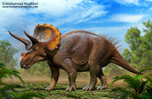 Triceratops.jpg