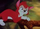 Banjo the Woodpile Cat as Scrat