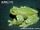 Burrowes' Giant Glass Frog