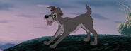 Lady-tramp-disneyscreencaps.com-5750