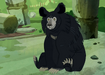 Sloth Bear (Asia)