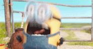 Bob screaming minions