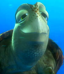Crush Finding Nemo The Parody Wiki Fandom Crush Finding Nemo The Parody Wiki Fandom
