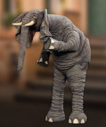 Horatio the Elephant as Joe "J.J." Ranft
