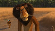 Madagascar2-disneyscreencaps.com-160