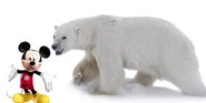 Mickey Polar.png (1.32 MB)