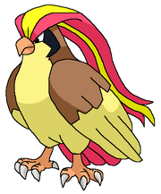 Pidgeot pokemonshineandshade