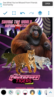 TPPTM2002 Poster.png