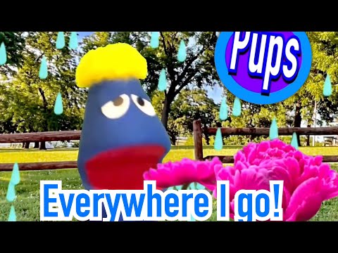 (Pups)_everywhere_I_go!