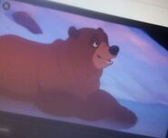 Kenai in Brother Bear 2 (2006).jpg