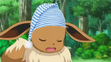 Eevee sleeping