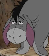 Eeyore as Carter