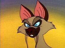 Genghis Cat.jpg
