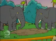 Rugrats Elephants