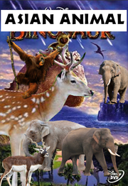 ASIAN ANIMAL Poster..png
