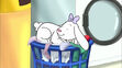 Daffodil sleeping in What A Story