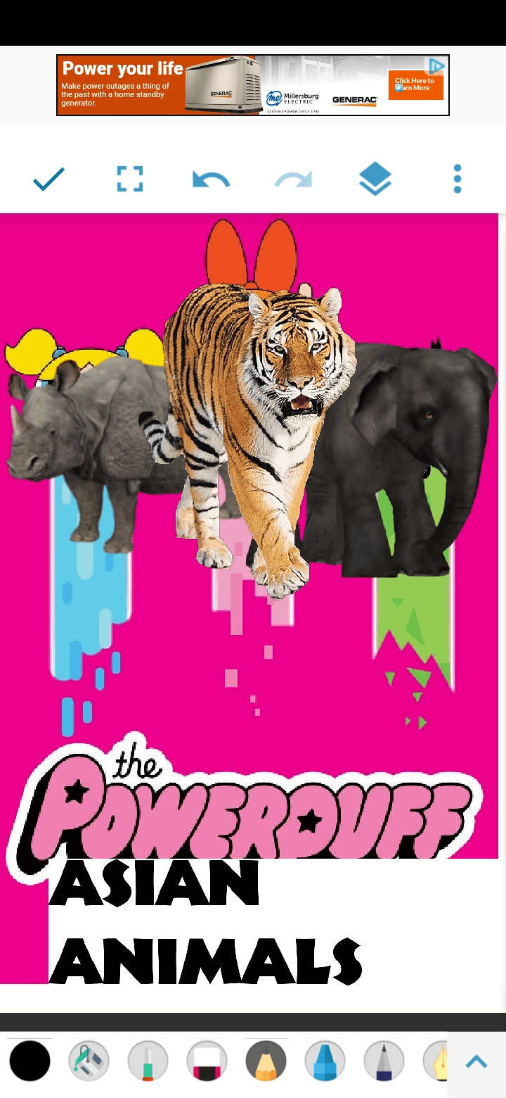 PPAsianAnimals2016 Poster.png