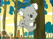 Stanley Koalas