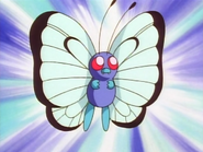 Ash Butterfree