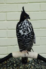 IMG 4529.jpg
