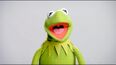 Kermit the Frog in Muppet Thought of the Week