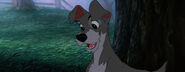 Lady-tramp-disneyscreencaps.com-5788