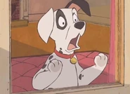 Patch is in the window and watch