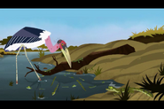Marabou Stork (Wild Kratts)