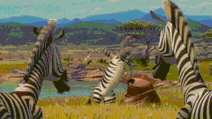 UZLc67n.gif