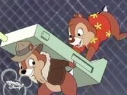 Chip as Chip with Dale as his extra (using their Rescue Rangers forms)